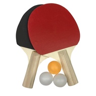 {：——“》 Ruer D Table Tennis Racket Beginner Training Ping-Pong Board Table Tennis Racket Set