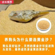 台灣出貨 天然黃金沙底砂斑馬狗頭魚專用沙河豚鼠魚沙魚缸造景化妝沙