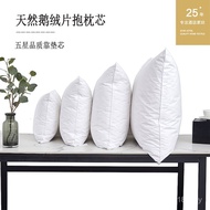 Down Bedside Direct Supply Five-Star Cushion Down Pillow Square Pillow Hotel Pillow Household Manufa