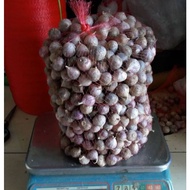 Bawang putih tunggal 1 kg /bawang Lanang/BAWANG MURAH