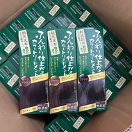 現貨❗️ 日本🇯🇵 天然利尻昆布染髮焗油膏  BRAIN COSMOS Rishiri Hair Color Treatment （黑色/深啡/淺啡）