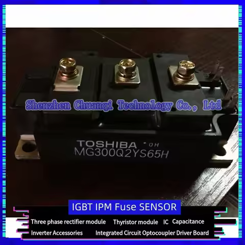 MG200Q2YS65H MG300Q2YS65H MG300Q2YS61