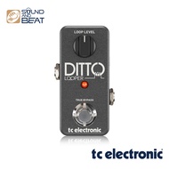 เอฟเฟคกีต้าร์ TC ELECTRONIC DITTO LOOPER