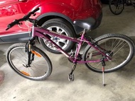 FUJI日本富士紫色自行車🚲