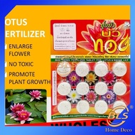 WHOLESALE 100PCS THAILAND FERTILIZER FOR LOTUS &amp; WATER LILY ( 12 TABLETS ) BAJA TUMBUHAN AIR N-P-K 9-23-20