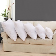 Sofa pillow insert, pillow insert 30x50cm, 45x45xm, 50x50cm high quality inflated grain cotton (not 