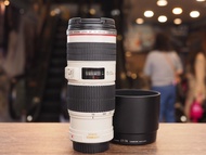[ 佳能 單反 ] Canon EF 70-200mm F4 L IS 小小白 防震