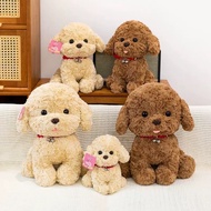 [Doll Little World] Teddy Poodle Stuffed Toy Teddy Poodle Doll