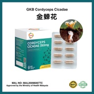 GKB Cordyceps Cicadae 虫草 金蝉花 Eye Health Supplement 350mg X 60 Vege