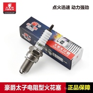 Haojue Prince HJ125-8C/8E/8F/8K/8T/8U/8R/S/V/L/Q/X/W/Y Motorcycle Spark Plug 65LZ