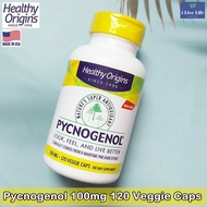 French Pine Bark Extract Pycnogenol 100 mg 120 Veggie Caps-Healthy Origins