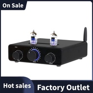 Vacuum Tube D325J Preamplifier Amplifier for GE5654W Audiophile Hi-Fi Tube Preamplifier TPA3255 Blue