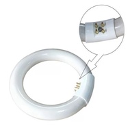 microscope Light Bulb Camera lamp