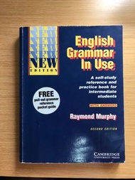 English Grammar in use