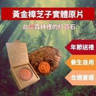 【黃金樟芝】牛樟芝子實體原片 禮盒單片裝 牛樟靈芝 泡酒 三萜類 煮雞湯 泡茶 切片【衛服部備查許可】【神農嚴選】