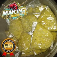 umpan Galatama ikan emas amisan kerapu jagung umpan kuning 78gram per1pcs siap pakai