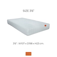 ZEN Collection ที่นอนสปริง 9 นิ้ว YOGHURT โครงสร้าง Bonnell Spring ขนาด 3.5 ฟุต 5 ฟุต 6 ฟุต