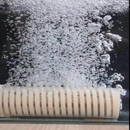 COMBO 10 cây Sứ Củ Sen Mountain Tree - Sứ Lọc cao cấp (hàng loại 1)