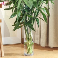 Abbraccia Acrylic Cylinder Vase Flower Vase for Anniversary Ceremony Desktop Party