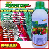 fungisida nopatek obat penyakit tanaman fungisida hayati nopatek