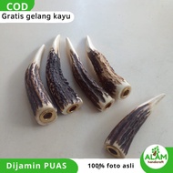 Pipa rokoonce tanduk rusa super