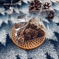 Mini Acorn, dried acorn, dried pine cone | Box Decoration | Christmas Decoration