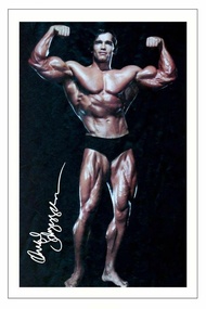 ARNOLD SCHWARZENEGGER YOUNG BODY BUILDER SIGNED Art Film Print Silk Poster Home Wall Decor 0605