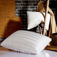PILLOW COLOR SPECIALIZED FOR HOTEL PILLOW FROM 5STAR HOTEL 3F HIGH QUALITY SPINE TEXTURE
