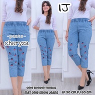 Begy Women's Jeans 7/9 Embroidered Motif