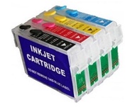 Epson 73N Refillable Cartridge with Pigment Ink