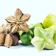 SERBUK SACHA INCHI 500GM