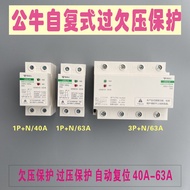 Circuit Breaker Self-resetting Over-voltage and Under-voltage Protector Automatic Reset1PN40A63A Air