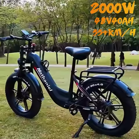 Nathaniel SYR08 Dual Motor 2000W Electric Bike 48V40AH Dual Battery Adult Off-Road Electric Bicycle 