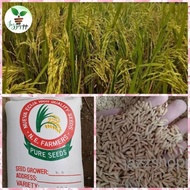 ♞Binhi Palay Seeds/Rice Variety  222 & 436 BINHI Malakas umani Certified Seeds new harvest 1kilo
