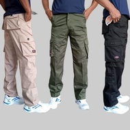 Men's Long CARGO Pants SIZE 28-34 PDL Mountain DICKIES Pants