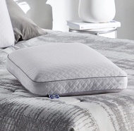Sealy 記憶棉枕頭 Sealy Essentials Pillow, Standard