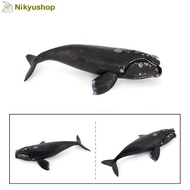 Educational Toys Display Miniature Sea Animals Whale Brush Right Whale Animal Figure