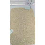 BIJAN PUTIH BIJAN PUTIH