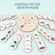 Montessori Life Cycle