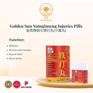 Golden Sun Brand Notoginseng Injuries Pill (12g) 金亮牌田七铁打丸 (12克)