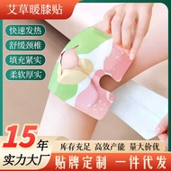 Knee Warmer Knee Pads Self-Heating Wormwood Warmer Knee Pads Knee Pads Knee Pads Steam Heating Relie