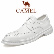 Camel shoes men Camel leather shoes men men camel shoe