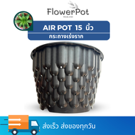 กระถางปลูกต้นไม้ Air pot กระถางมีรู กระถางเร่งราก 12 นิ้ว