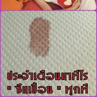 Waterproof Mattress Cover Dust Mites home beds
