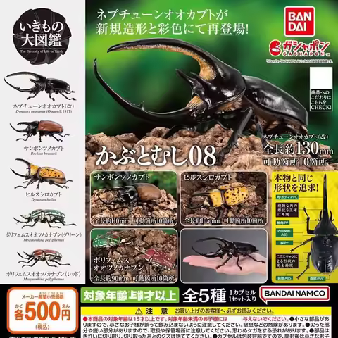 Bandai Genuine Biological Encyclopedia Gashapon Toys Simulated Insects Beetle 08 Dynastes Neptunus B