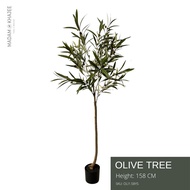 Olive Tree - Height 158 cm ต้นมะกอก ความสูง 155 ซม.ต้นไม้ปลอมเกรดพรีเมี่ยมเพื่อการตกแต่ง ต้นไม้ประดิ