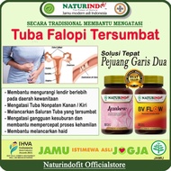 Herbal Tuba Falopi Tersumbat Tuba Nonpaten Hidrosalping Naturindo J873