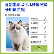 Give 4.11 Four Seasons Activate the Ending One-Click One-Layer Memo Armor Four Seasons Immune Hairy 