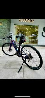 捷安特 GIANT E-Bike 電動輔助自行車 Fast Road E+
