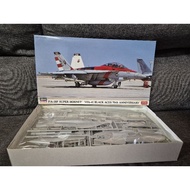 Plastic model kit Hasegawa 02184 F/A-18F Super Hornet VFA-41 Black Acre 70th Anniversary Scale 1:72